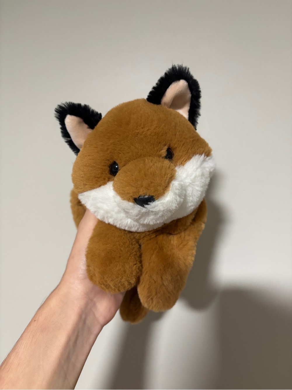 Aurora Schoochie Fox